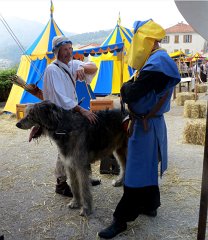 Tourrentelle-Tourrette-Levens-Medievale-2014-1207
