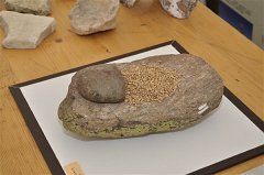paleo3-1027
