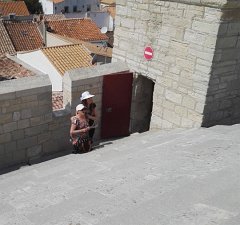 17.06.03.Camargue-Tourrentelle-207