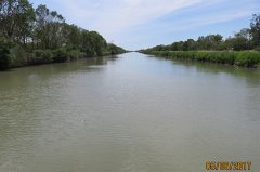 17.06.03.Camargue-Tourrentelle-919