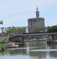 17.06.03.Camargue-Tourrentelle-921