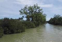 17.06.03.Camargue-Tourrentelle-941