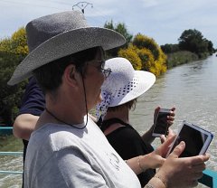 17.06.03.Camargue-Tourrentelle-943