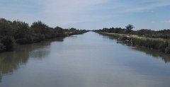 17.06.03.Camargue-Tourrentelle-954