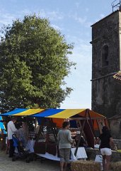 Montauroux_2017.08.19.237
