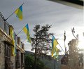 PAVOISEMENT_Tourrentelle-19.04.28.175