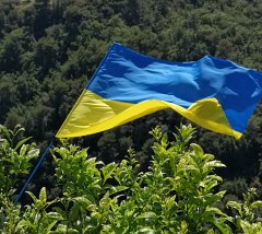 Limaces-19.06.23.3175