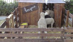 2011-Medievale-Tourrentelle-Tourrette-levens-852