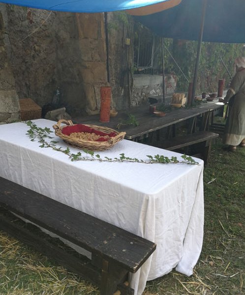 Tourrentelle-Ales-2019.installation.211.jpg