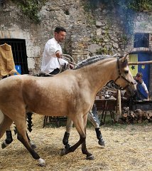 Tourrentelle-Ales-2019.Troupes.183