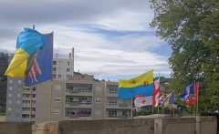 Tourrentelle-Ales-2019.Troupes.217