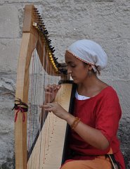 avignon-12.09.08-852