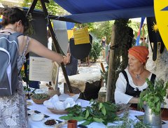 Carmes-Avignon-2011-303
