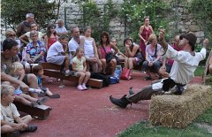 Carmes-Avignon-2011-317