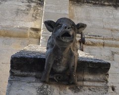 Carmes-Avignon-2011-604