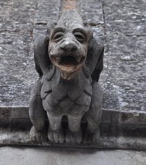 Carmes-Avignon-2011-605