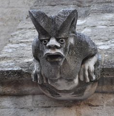 Carmes-Avignon-2011-606