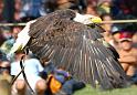 Aigle.Entrevaux.2009.204