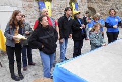 Malzieu-2012-I-231