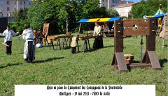 Martigues-2013-Tourrentelle-305