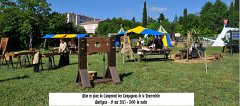 Martigues-2013-Tourrentelle-311