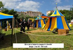 Martigues-2013-Tourrentelle-315
