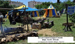 Martigues-2013-Tourrentelle-361