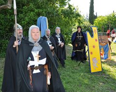 Martigues-2013-Tourrentelle-388