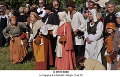 Martigues-2013-Tourrentelle-391