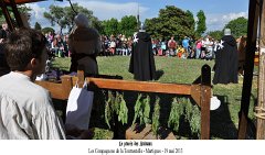 Martigues-2013-Tourrentelle-393