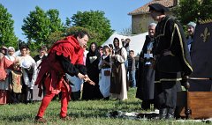 Martigues-2013-Tourrentelle-406