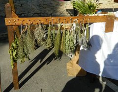 Trets-Tourrentelle-2012-I-888