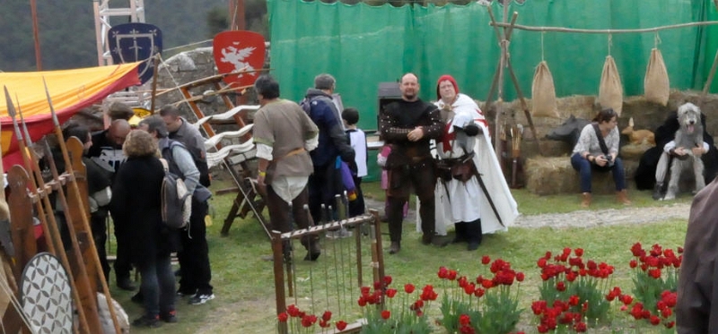 Tourrette-levens-Tourrentelle-865.jpg