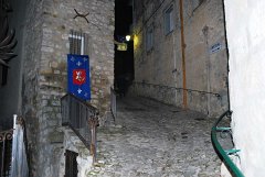 DSC_4856
