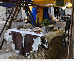 TRETS-2011-1346