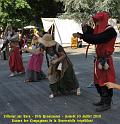 Villemur-2010-639